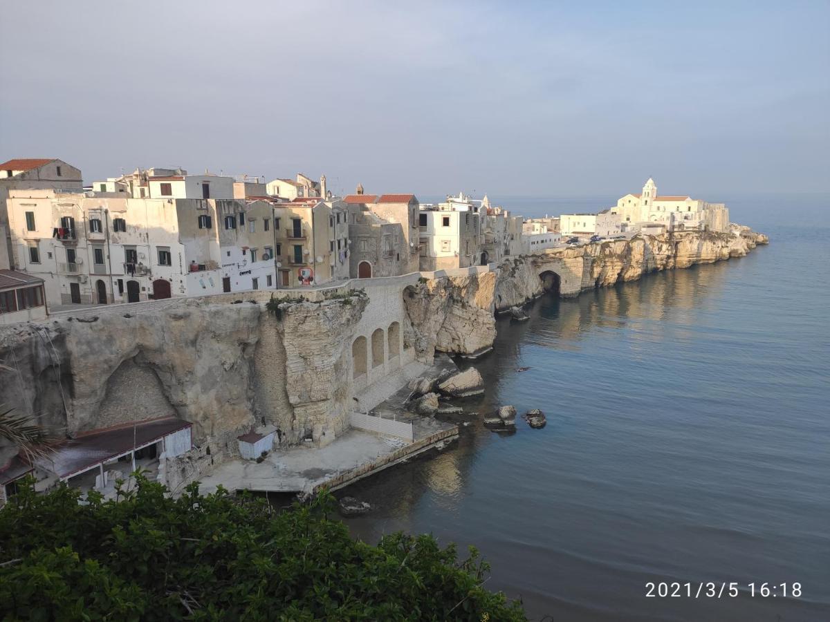 Villette Fabrizio, 2025 A Vieste Exterior photo